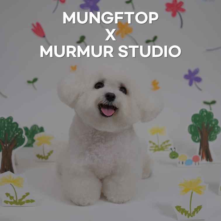 멀멀스튜디오 팝업 사진관