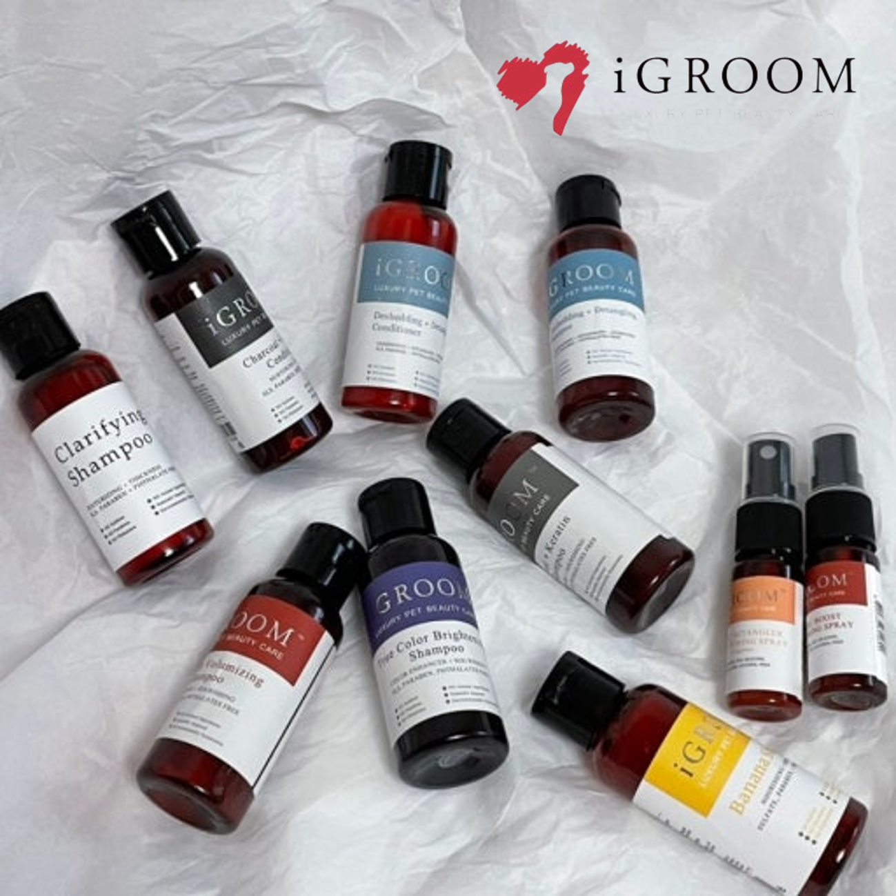 아이그룸 전 라인 구매가능